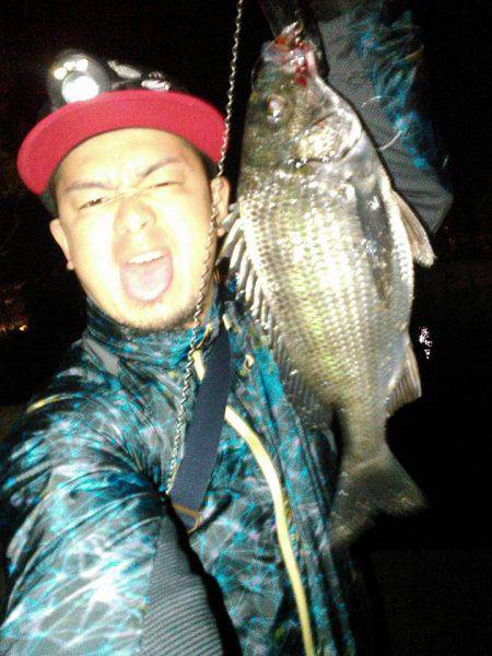 JADEフィッシュ！